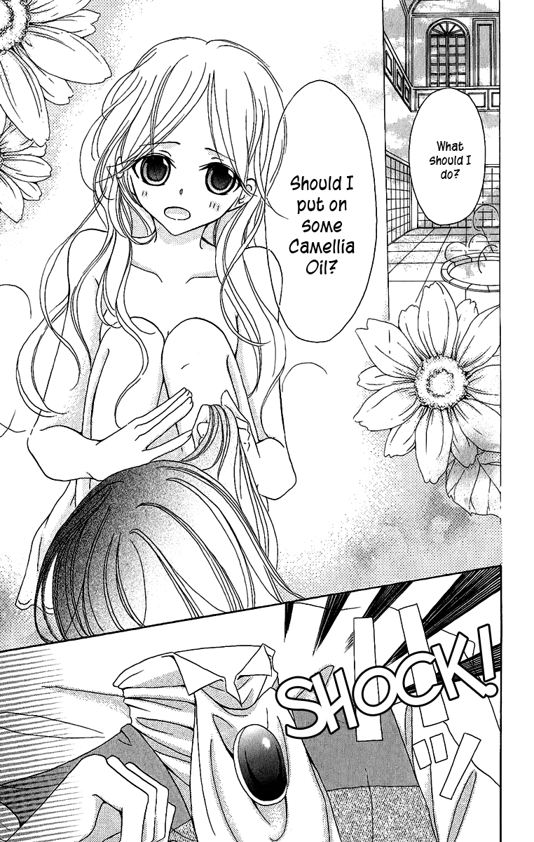 Boukyaku no Shirushi to Hime Vol. 1 Ch. 2 第32页