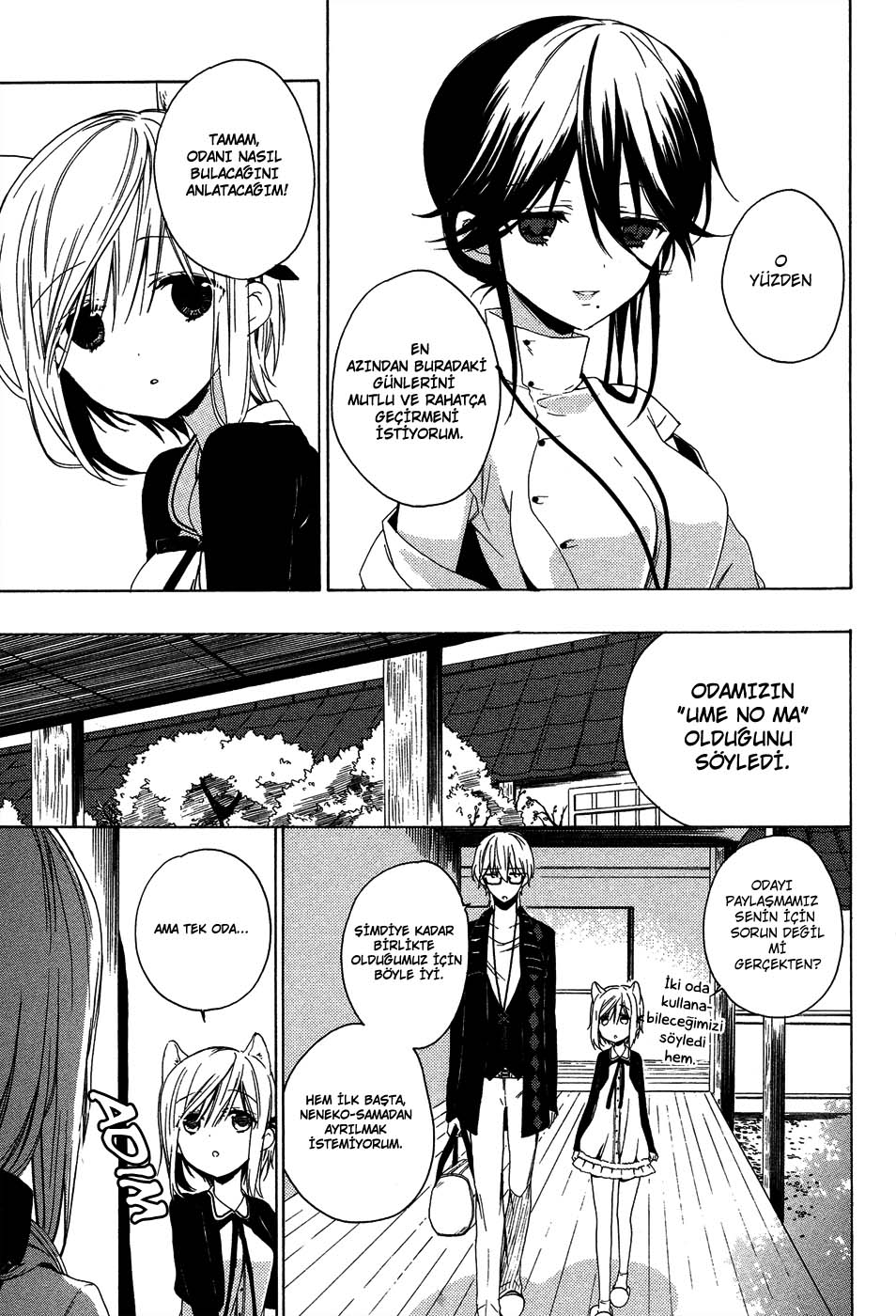 Kudamimi no Neko Yeni Bir Yaşam, Yeni Bir Hedef 第25页