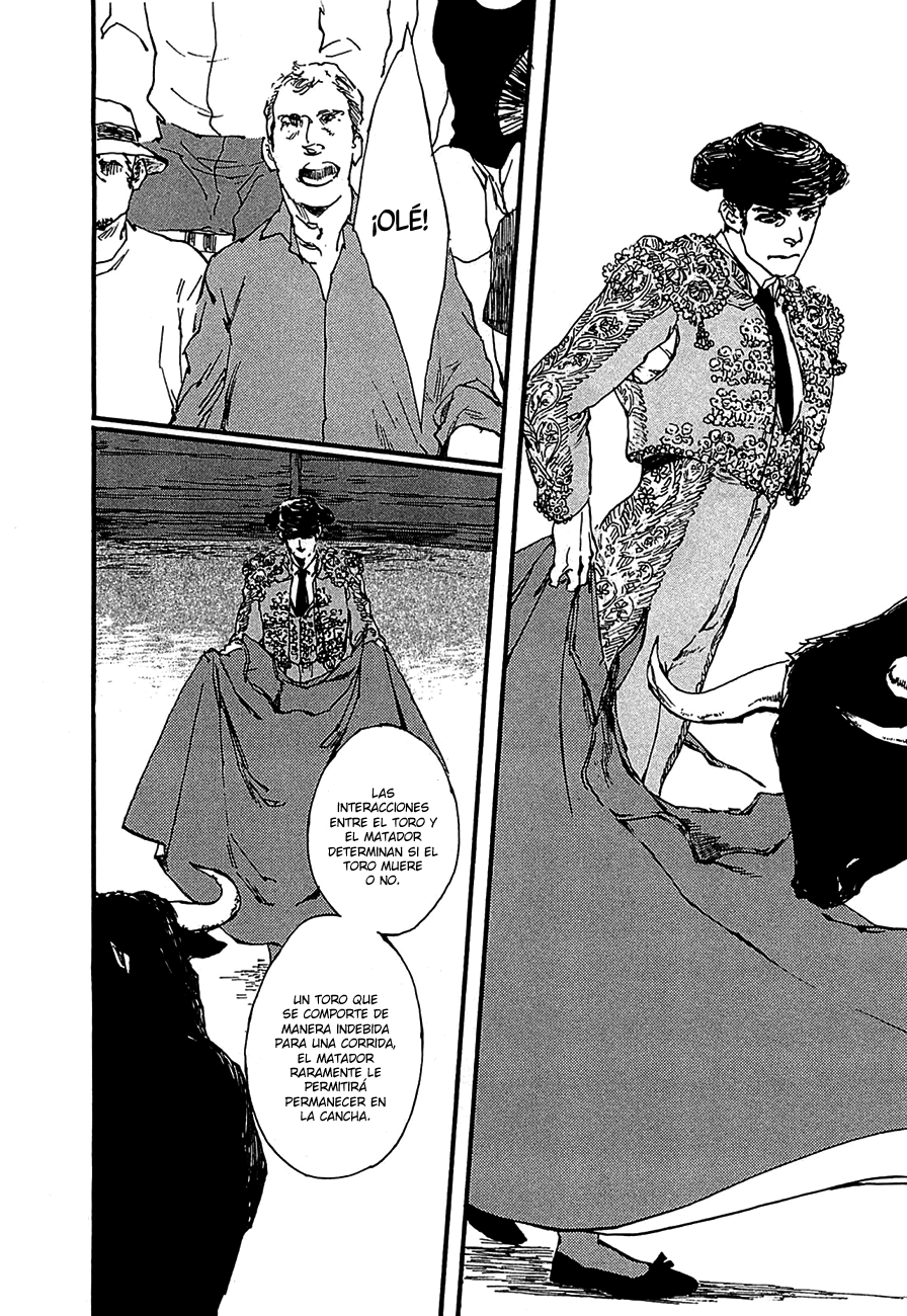 Golondrina Corrida de toros 第11页