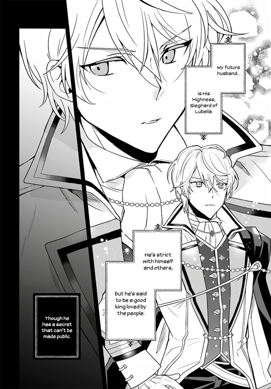 Okazari Ouhi ni Nattanode, Kossori Hataraki ni Deru Koto ni Shimashita Vol. 1 Ch. 1 第13页