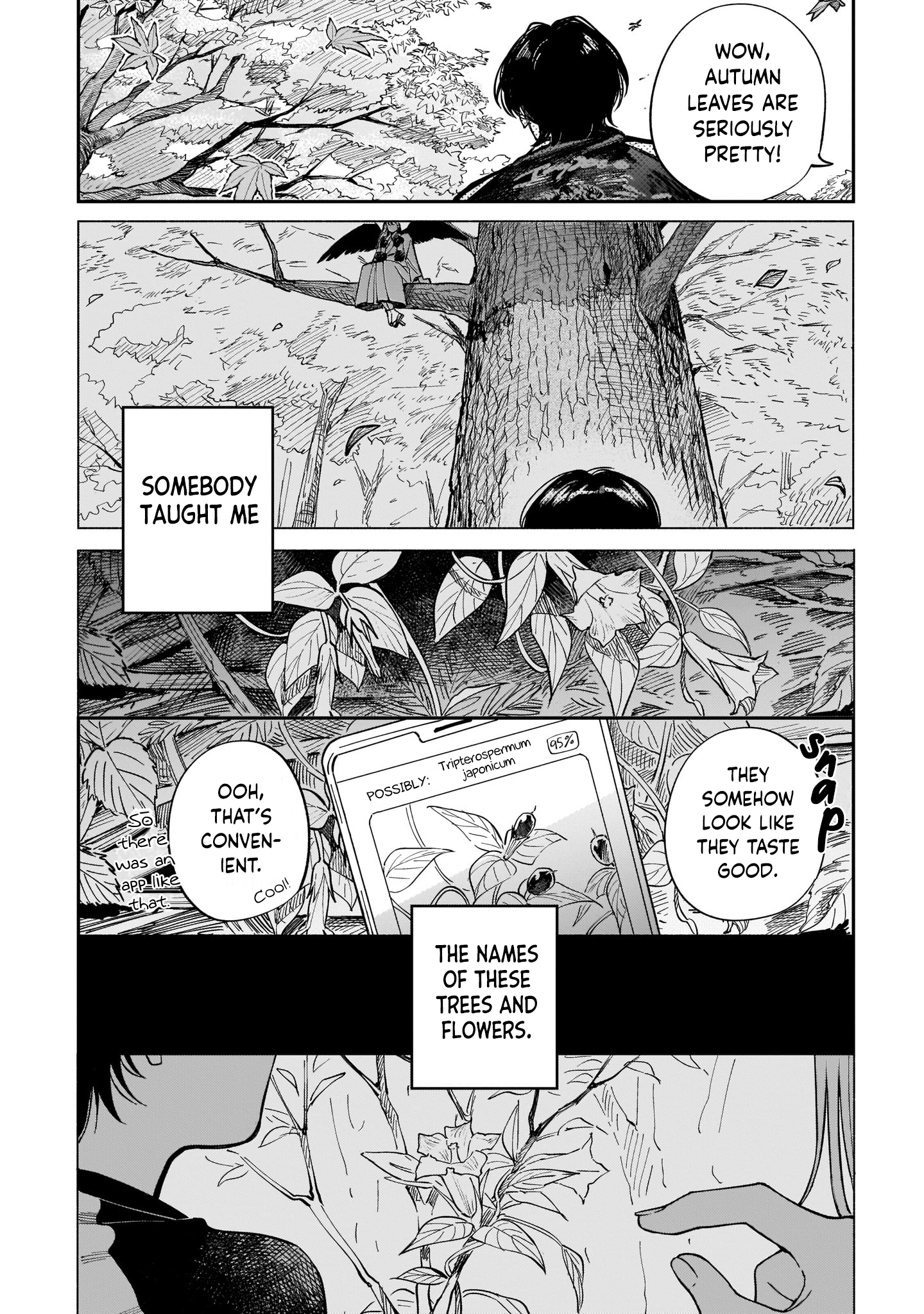 The Hachioji Specialty: Tengu's Love Mount Takao and a Tengu's Love 第22页