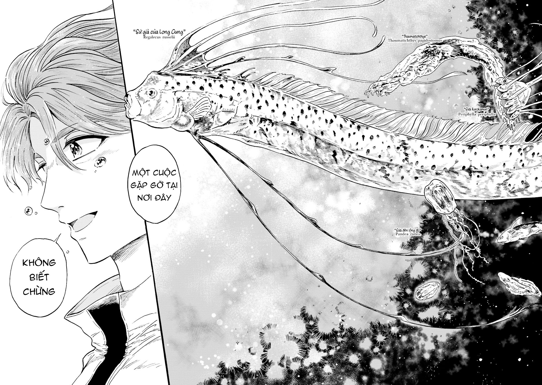 Magmell Shinkai Suizokukan Prologue - Mực khổng lồ 第15页