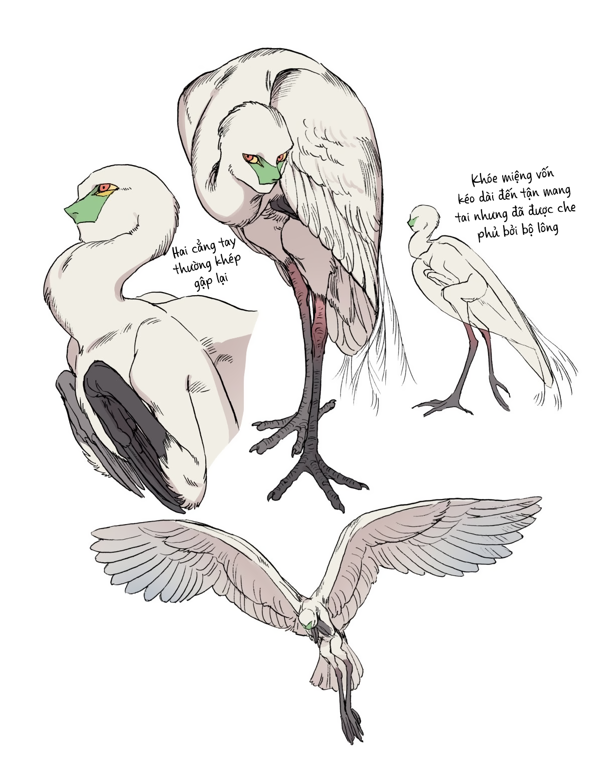 A Little Story about a Fish Thief who Steals with Impunity Oneshot 第11页