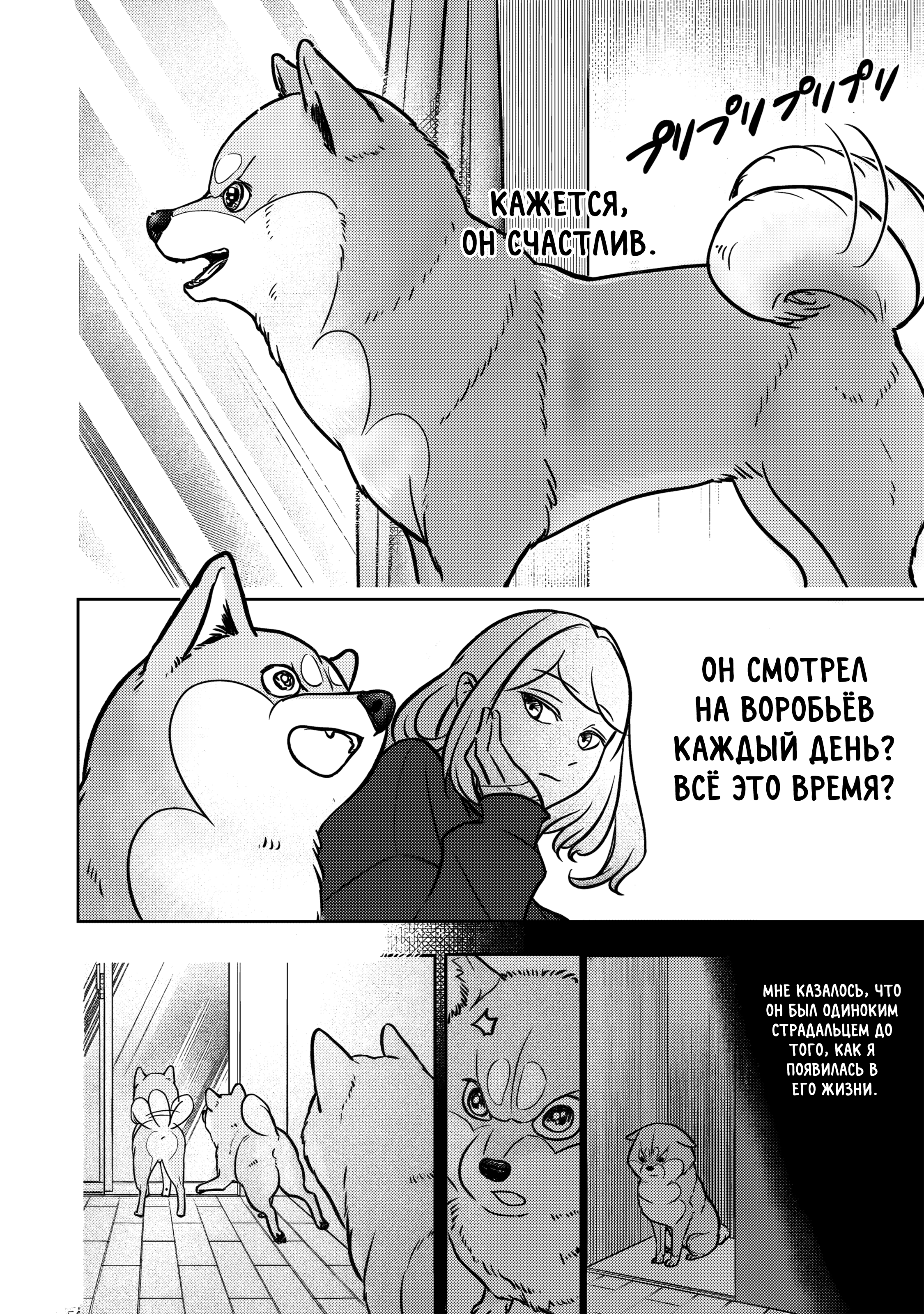Shiba Inu Rooms Маленькое бедное создание 第19页