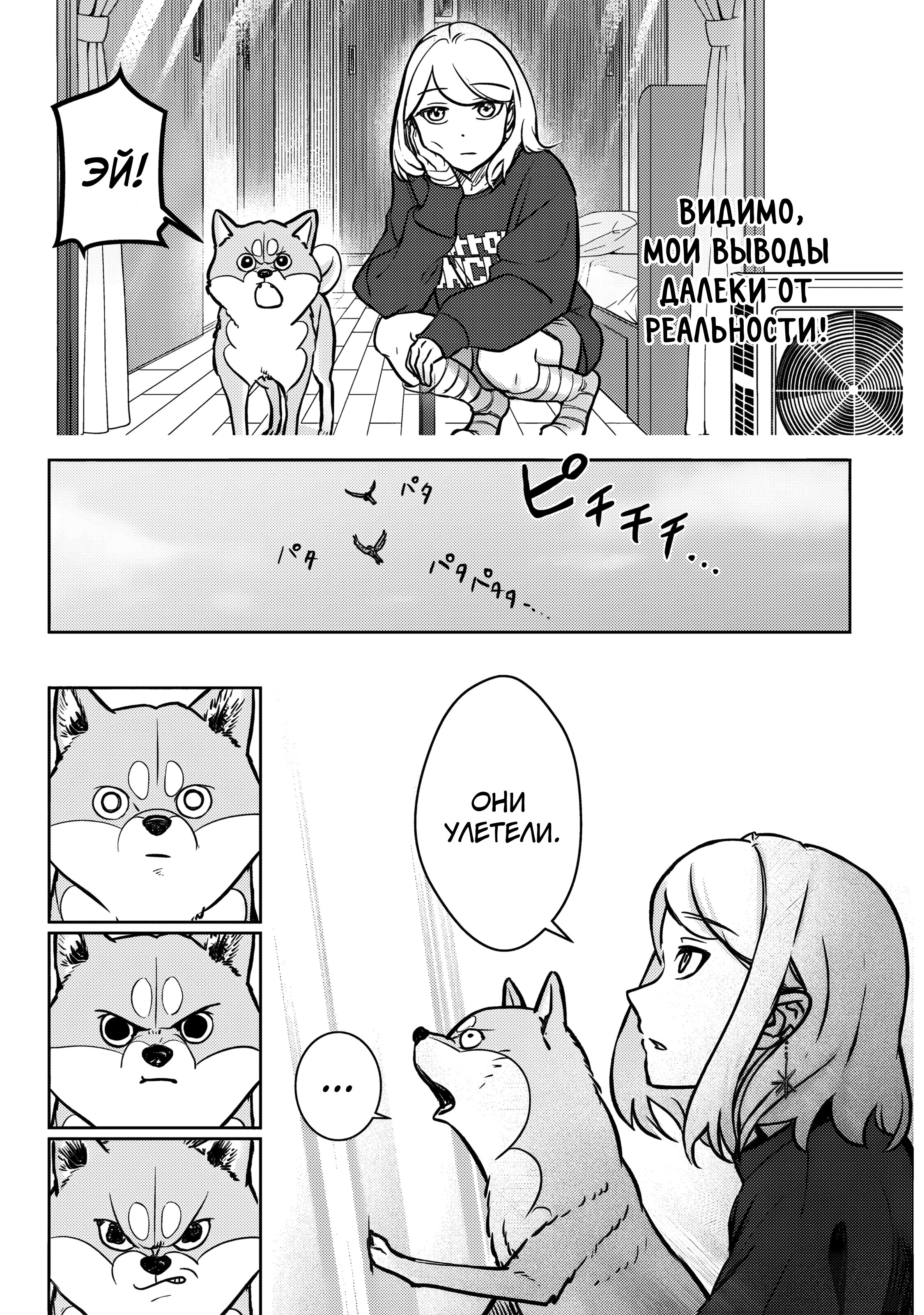 Shiba Inu Rooms Маленькое бедное создание 第20页