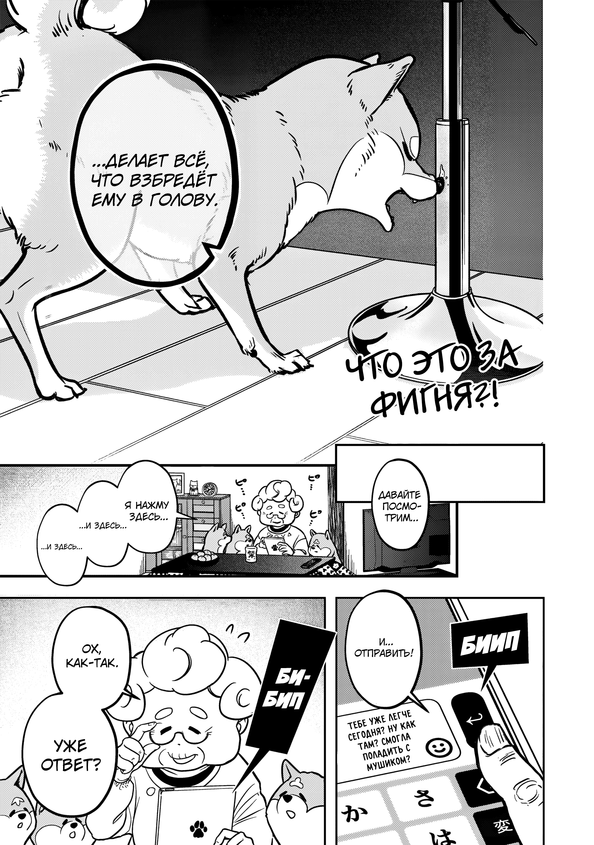 Shiba Inu Rooms Маленькое бедное создание 第22页