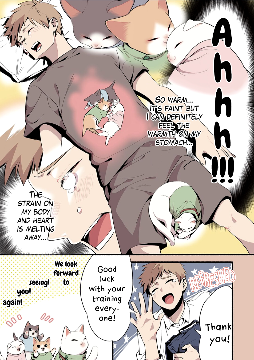 Cat Massage Therapy Let's call for the trainees 第6页