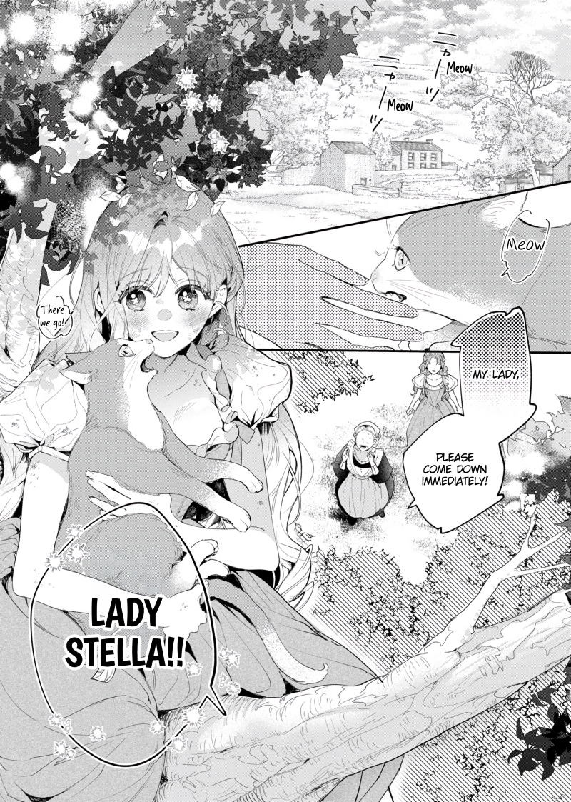 Hana Himeru Kimi no Meteor Vol. 1 Ch. 1 第9页