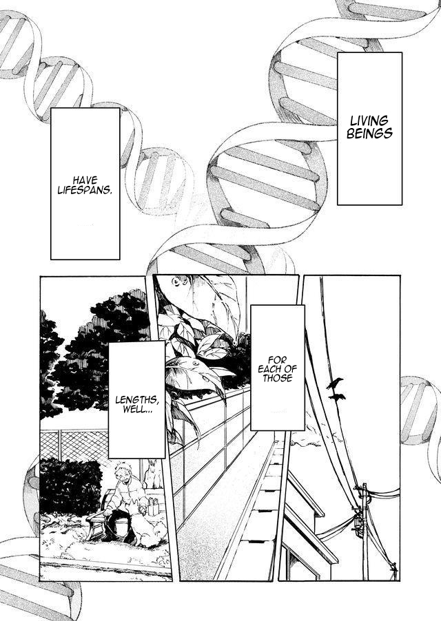 Memento Memori 第2页