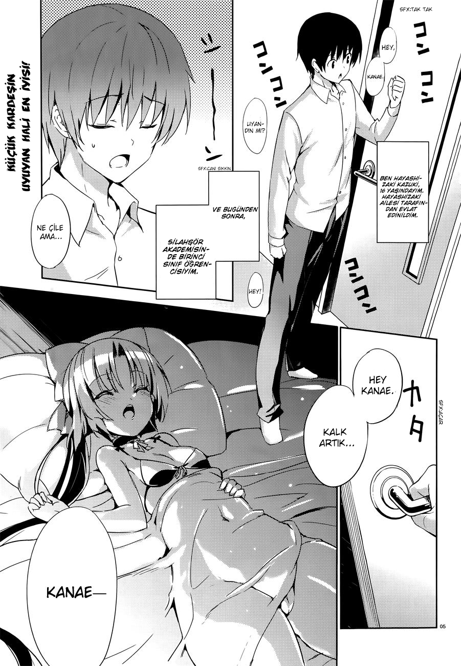 Magika Swordsman and Summoner 第7页