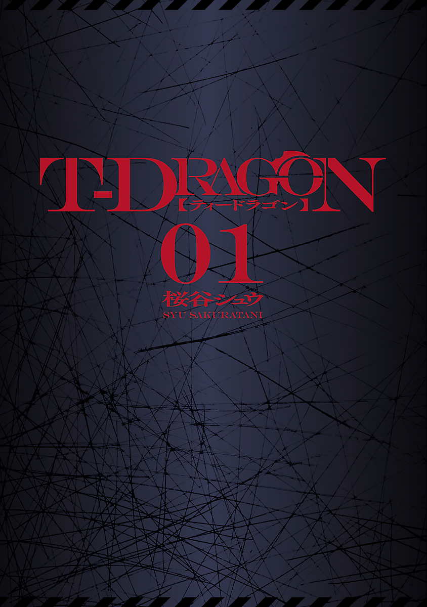 T-Dragon 第3页