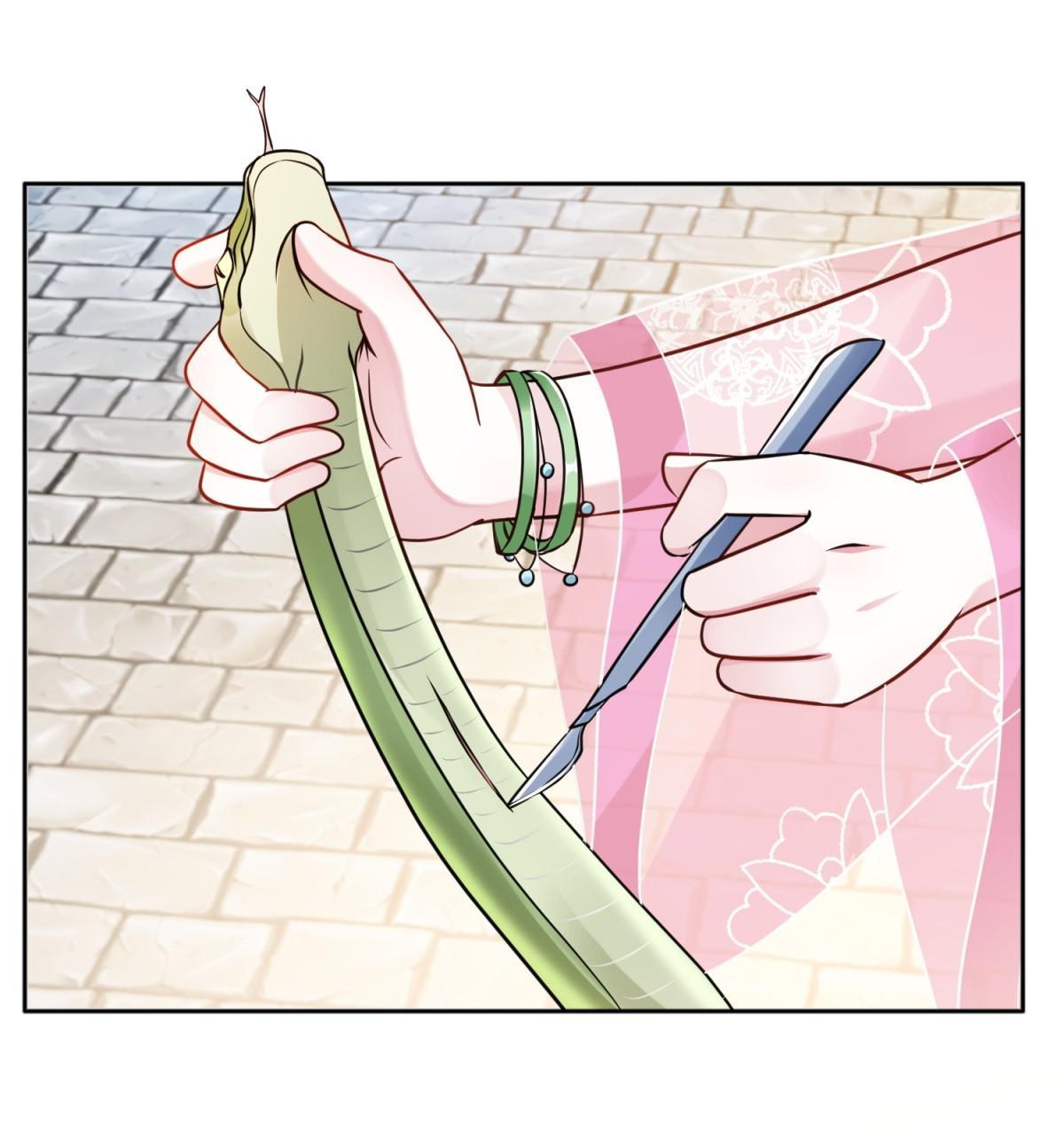 Rebel Princess: The Divine Doctor Outcast Saving People Is The First Priority 第2页