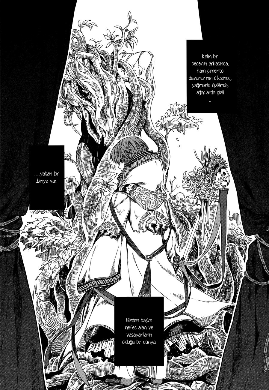 The Ancient Magus' Bride Nisan Yağmurları Mayıs Çiçeklerini Getirir 第11页