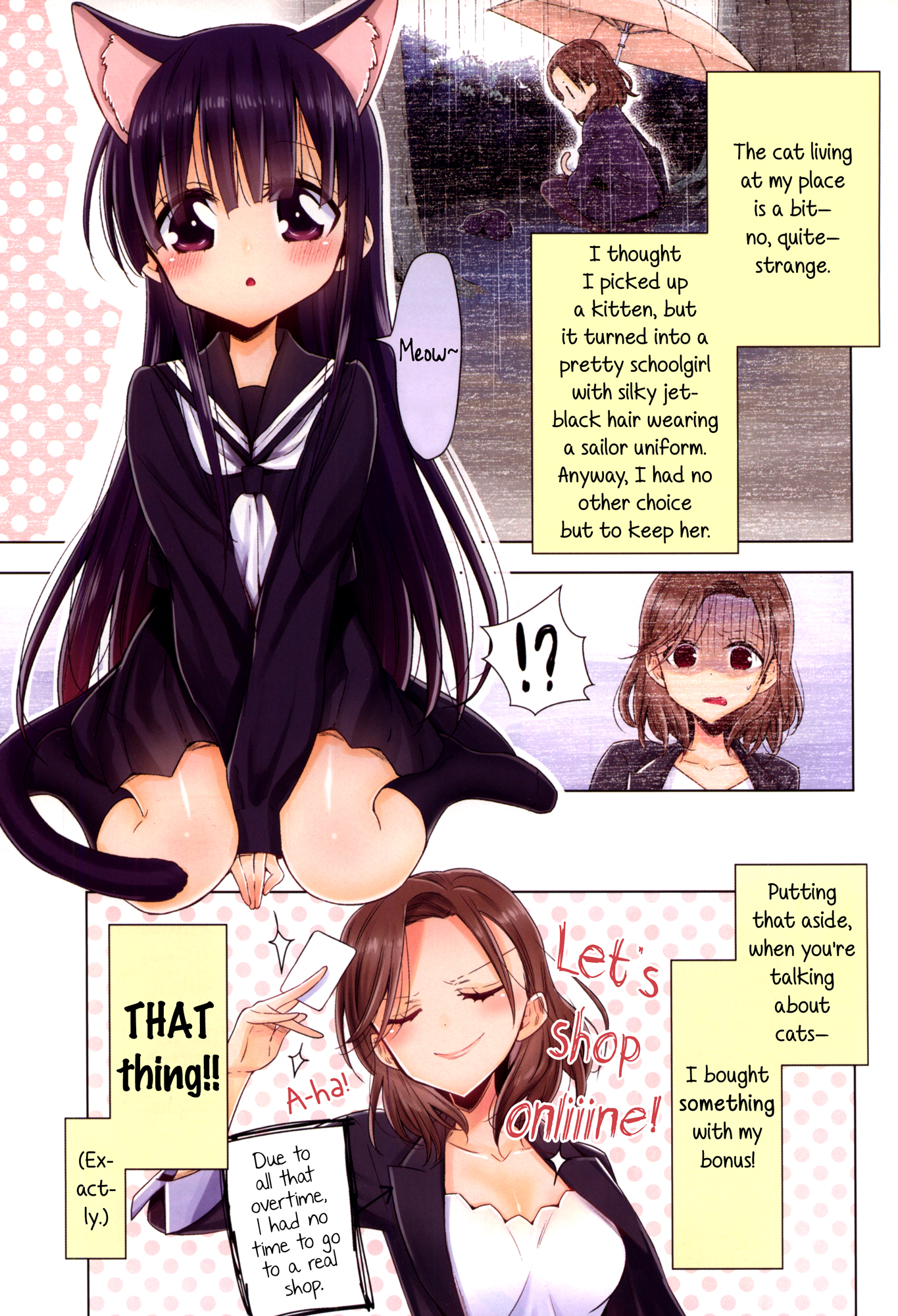 Story about OL-san Picking up a Cat Second Night 第3页