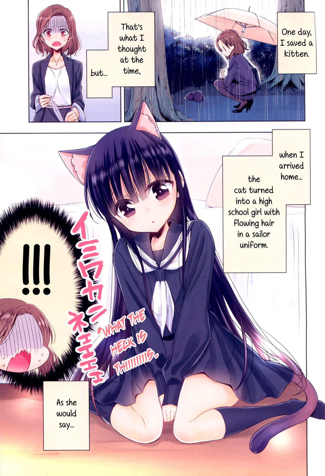 Story about OL-san Picking up a Cat 第3页
