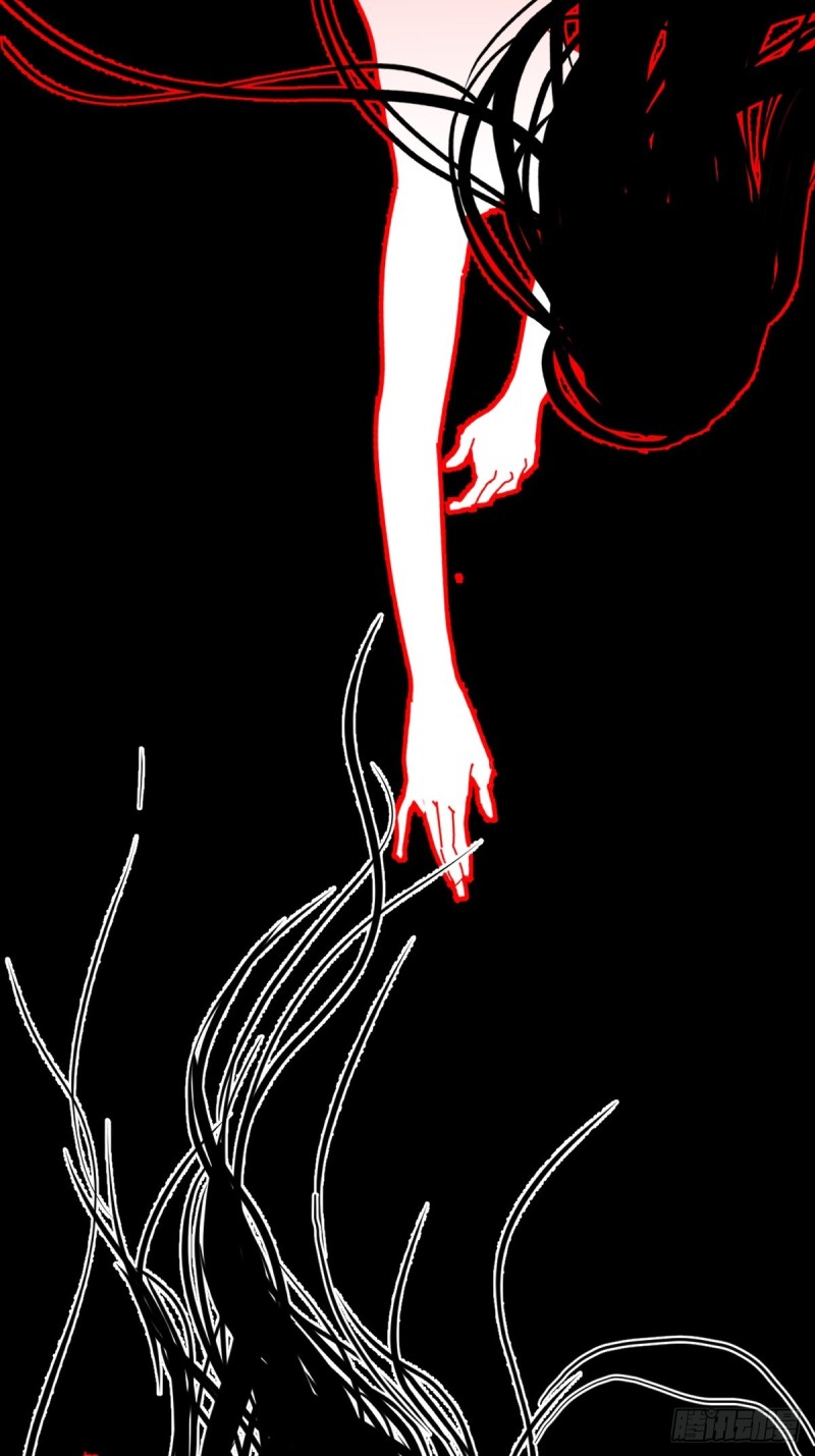Black-backed albatross No!!! 第12页