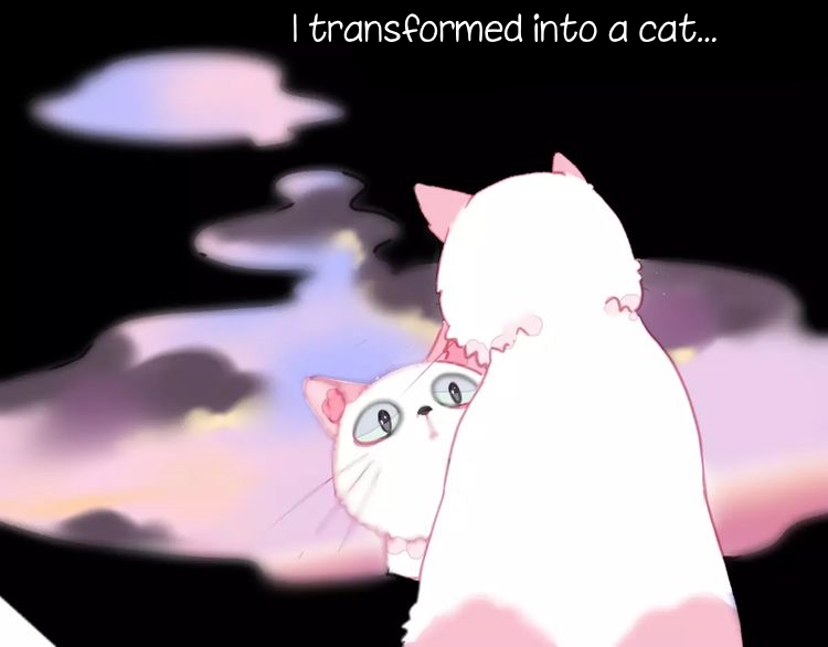 A Cat's World Transformation 第2页