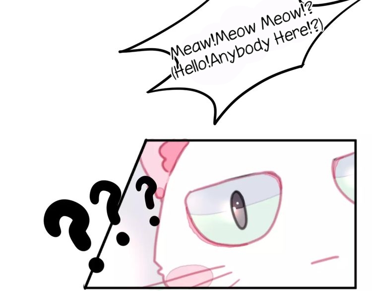 A Cat's World Transformation 第15页