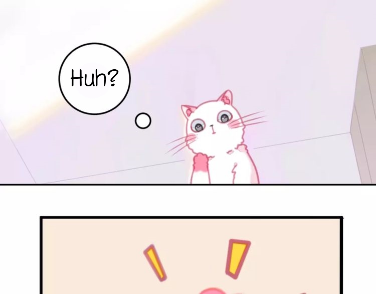 A Cat's World Transformation 第17页