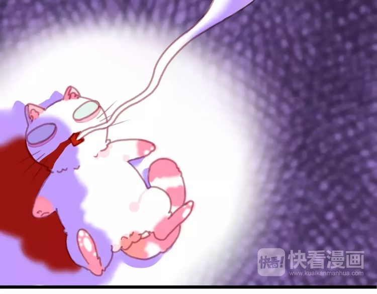 A Cat's World Transformation 第22页