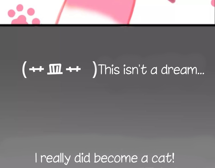 A Cat's World Transformation 第27页