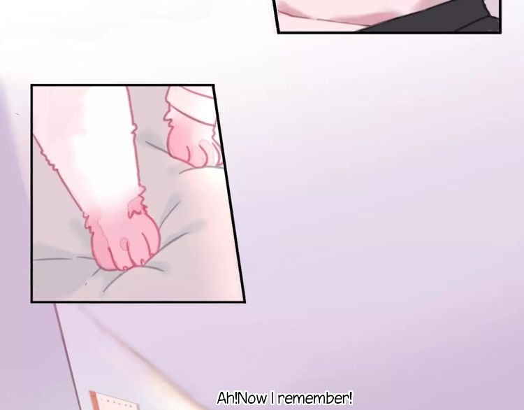 A Cat's World Transformation 第33页