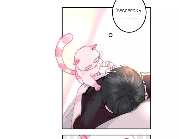 A Cat's World Transformation 第35页