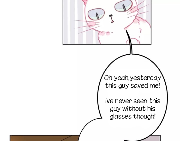 A Cat's World Transformation 第36页