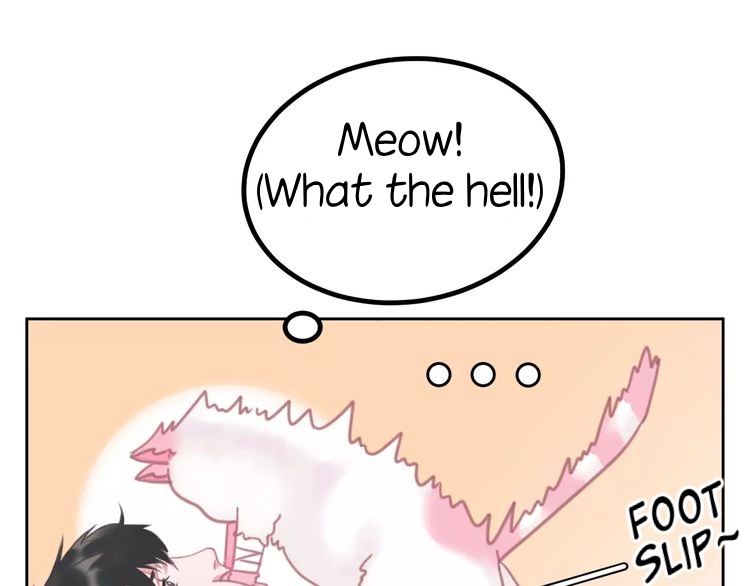 A Cat's World Transformation 第40页