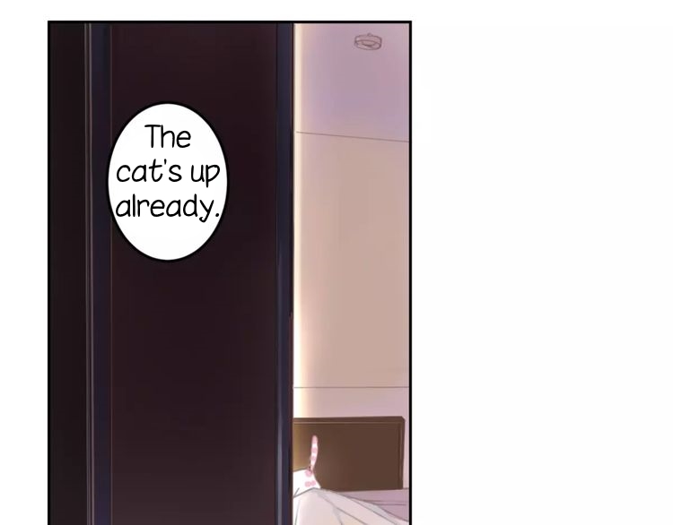 A Cat's World Transformation 第44页