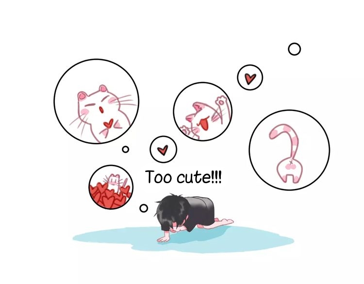 A Cat's World Transformation 第50页