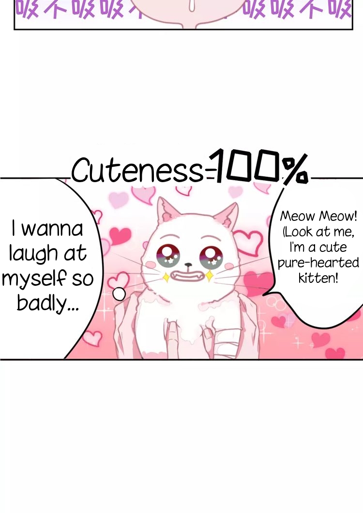 A Cat's World Transformation 第57页