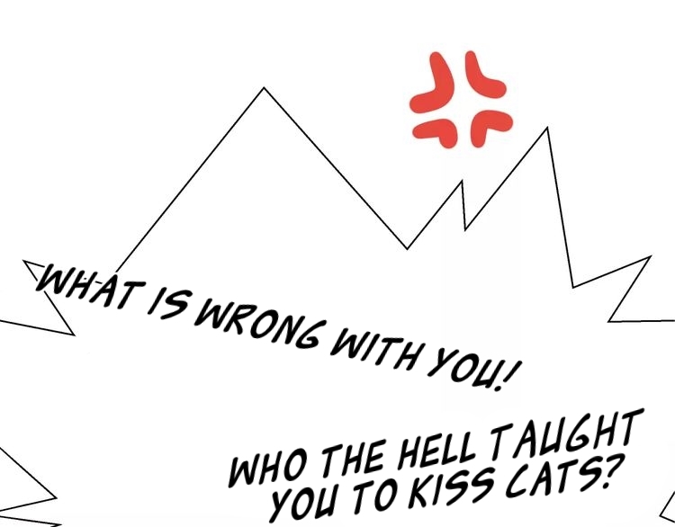 A Cat's World Transformation 第74页