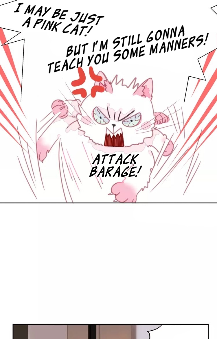 A Cat's World Transformation 第75页