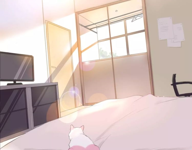 A Cat's World Transformation 第10页