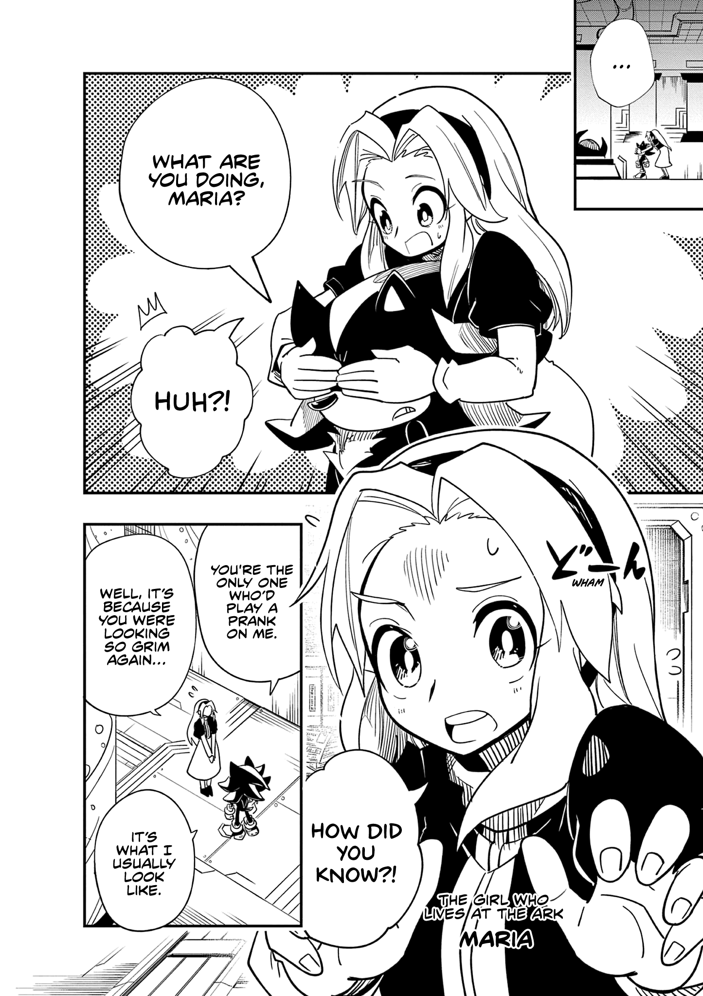 The Jet Black Hedgehog: Shadow the Hedgehog Shadow and Maria 第12页