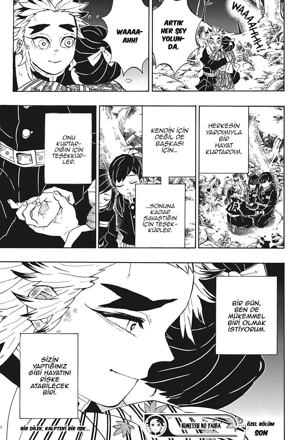 Demon Slayer: Kimetsu no Yaiba Special One-Shot Oneshot 第19页