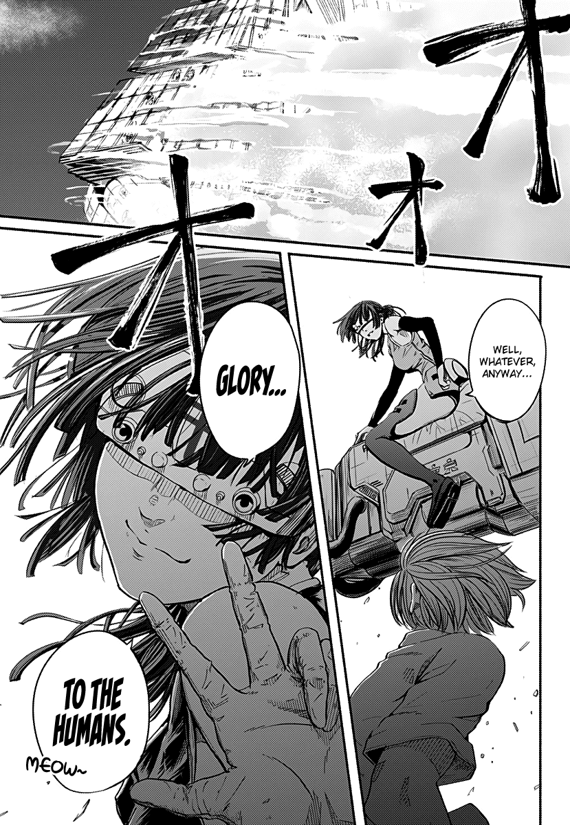 Alma Footprints 第39页