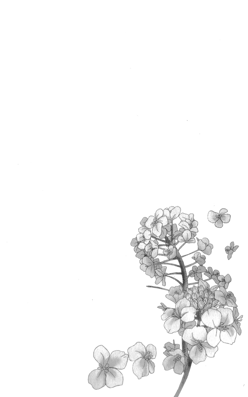 Nanoka no Kare Vol. 1 Ch. 4 第9页