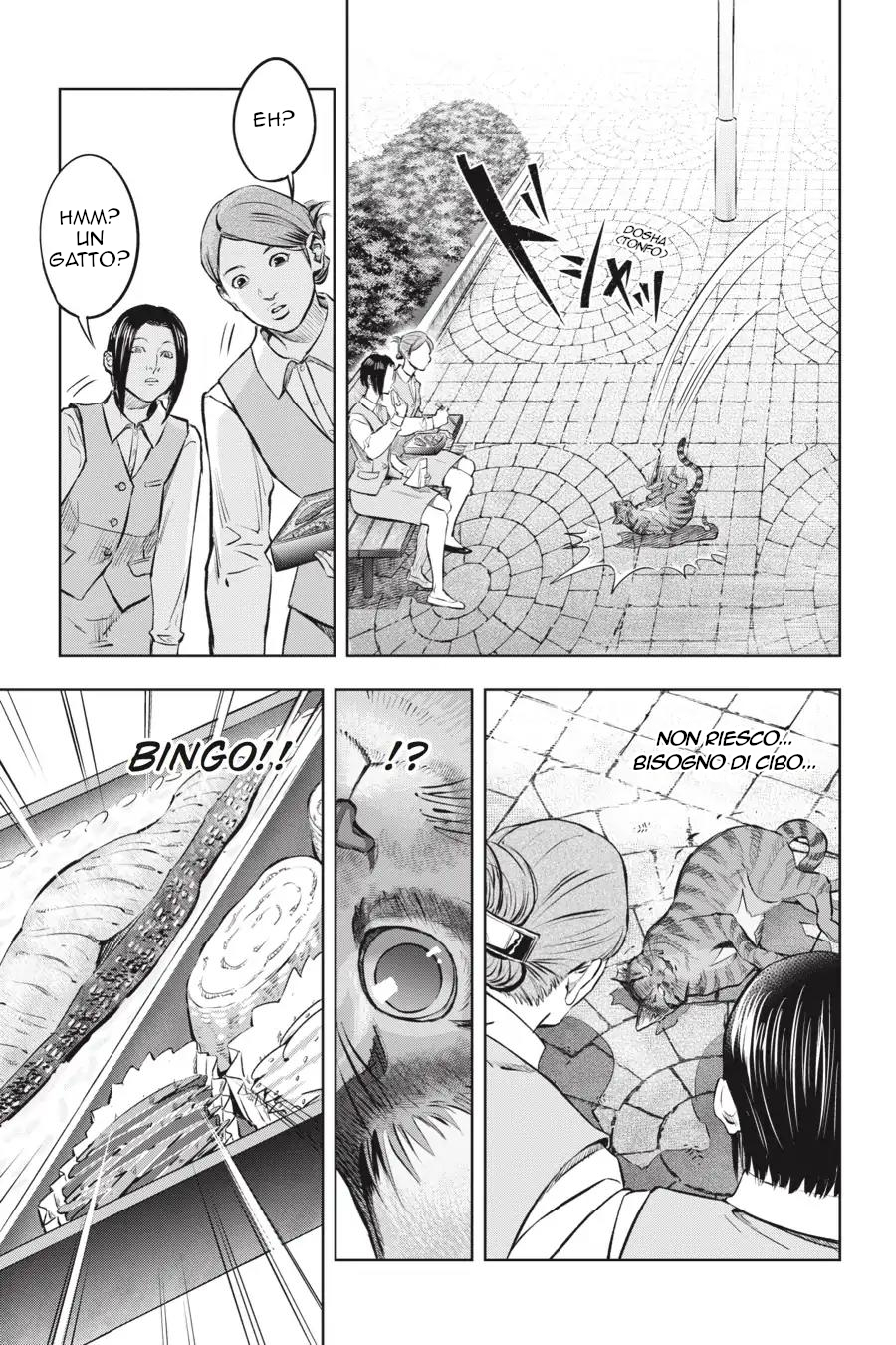 Nyankees Il suo nomiao è... 第22页