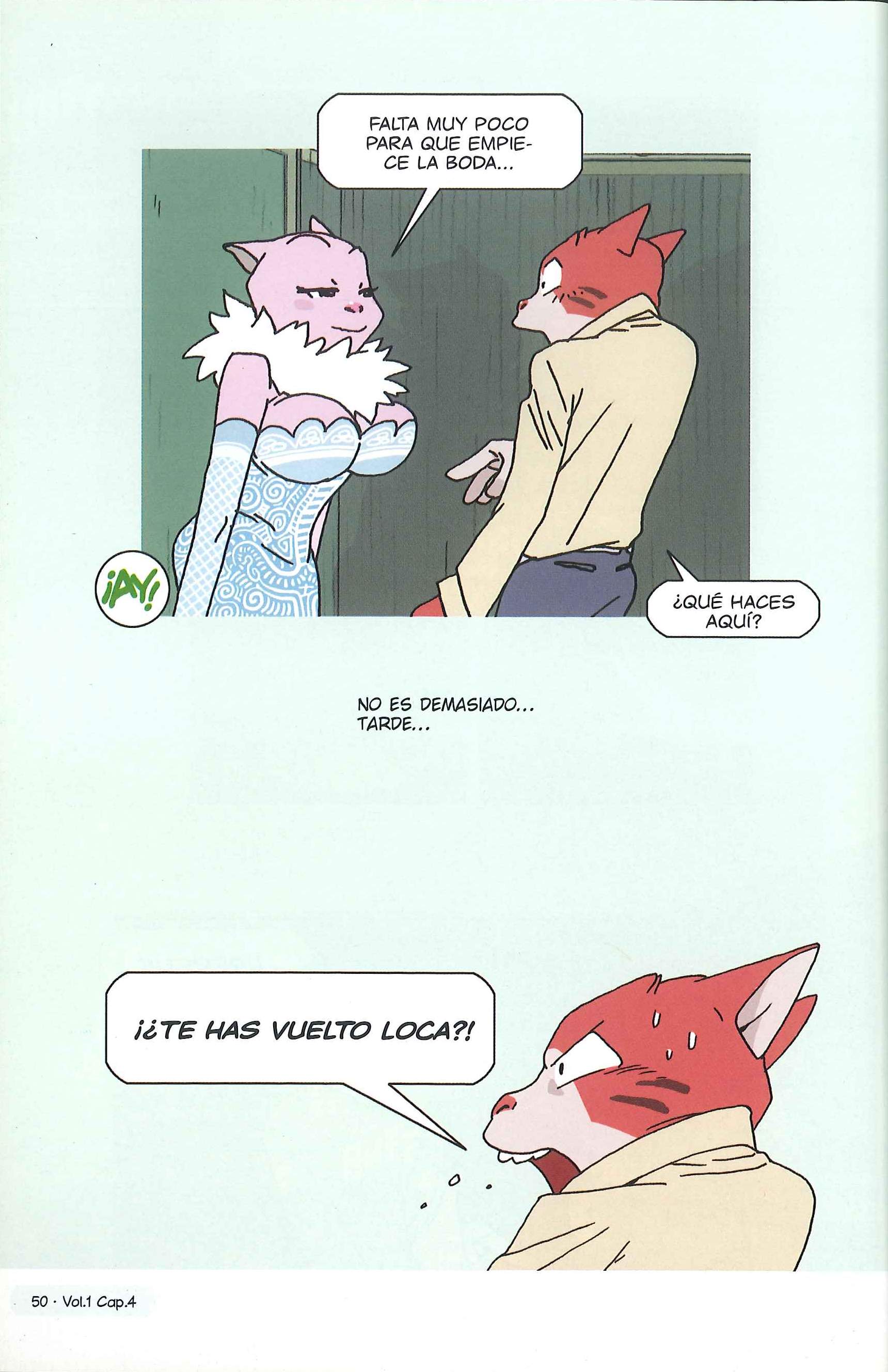 The Great Catsby Un problema y una solución 第10页