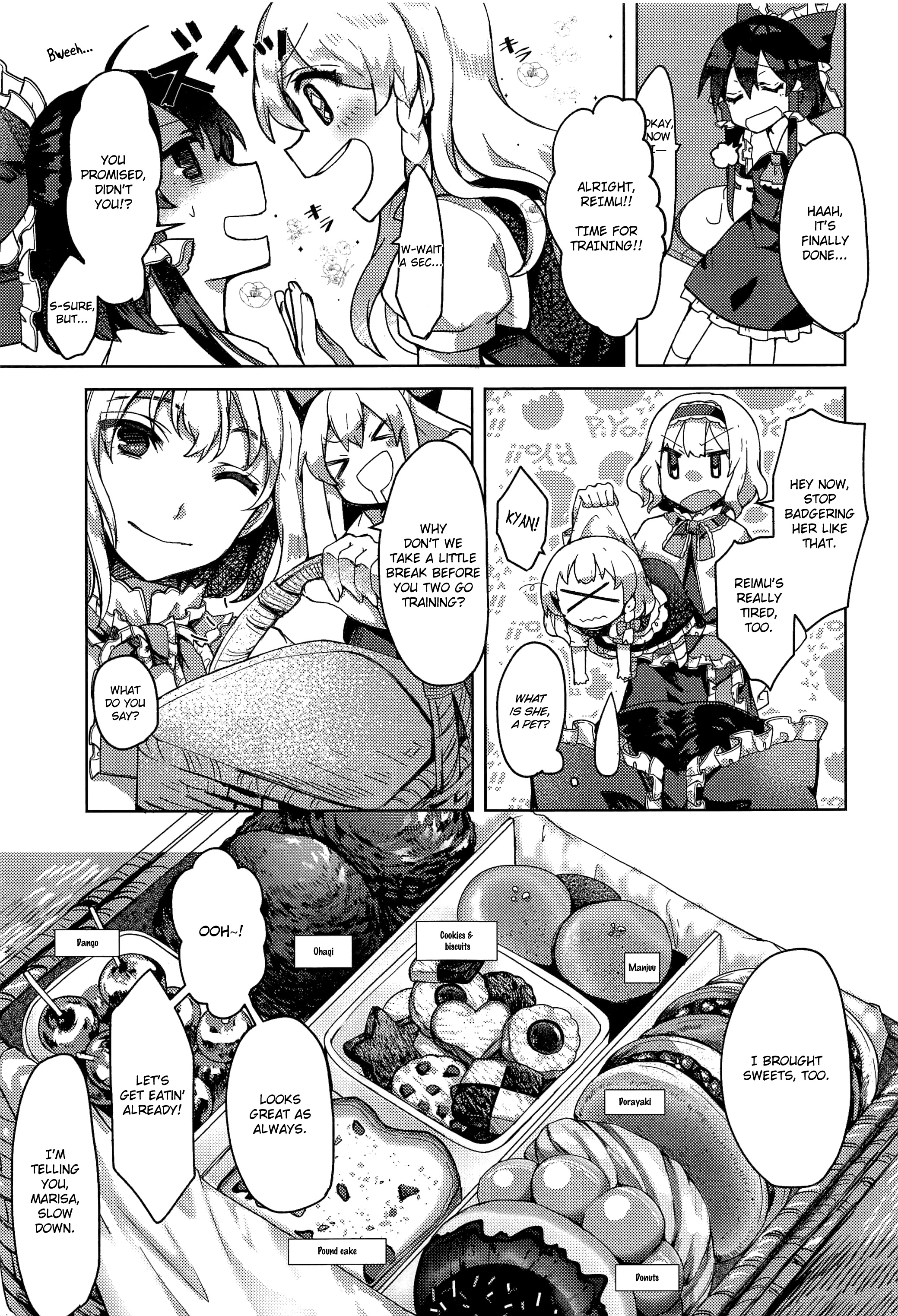 Touhou - Honto no Watashi (Doujinshi) Oneshot 第12页