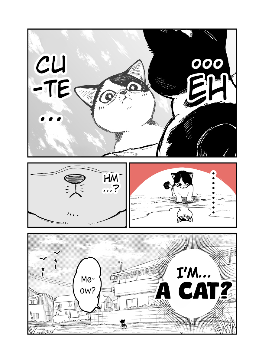 Kumicho, neko ni naru 第4页
