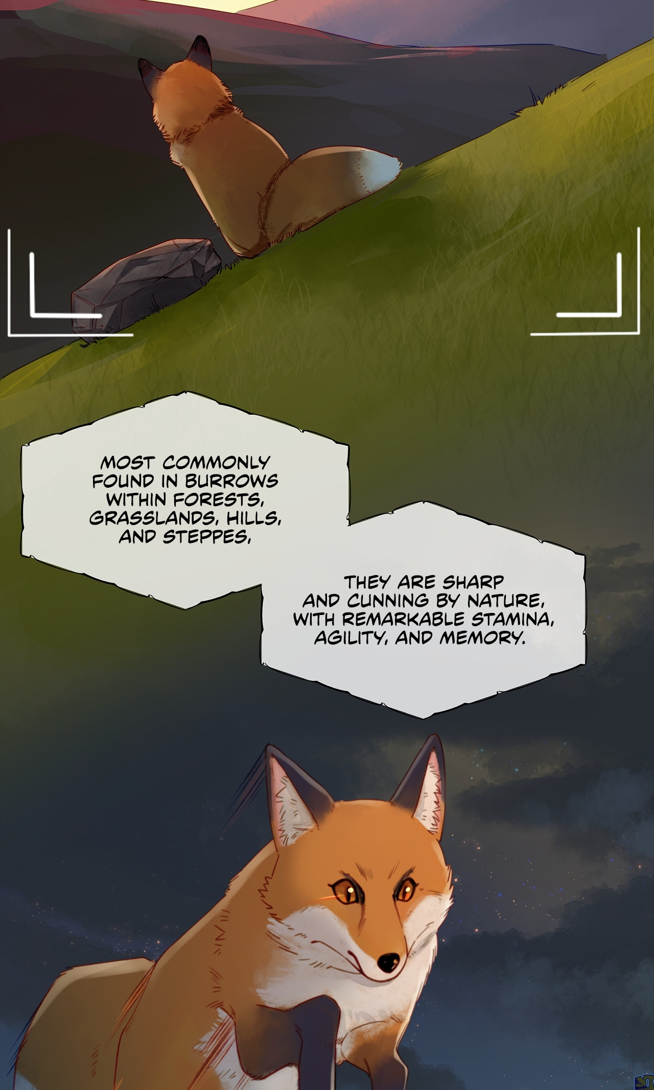 Foxes Always Lie Fox 第3页