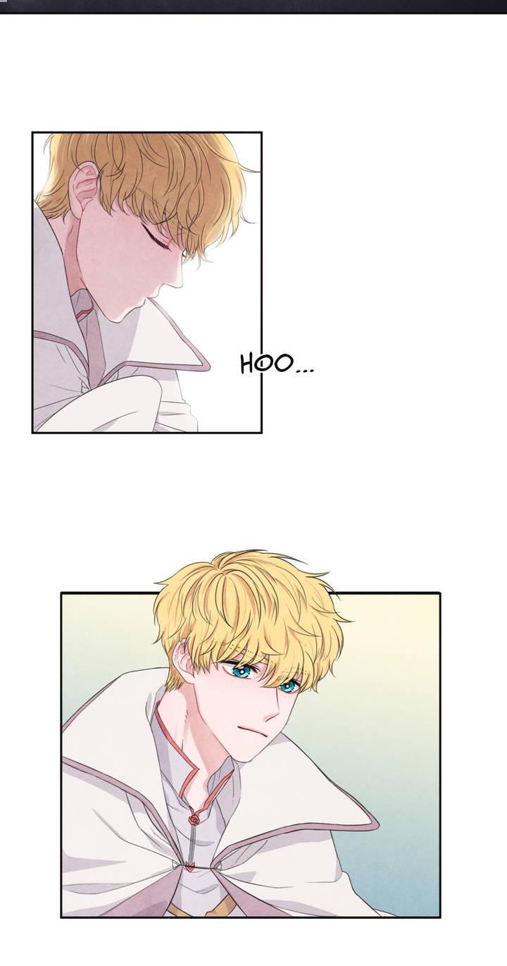 Be Careful of the Shooting Star! Ch. 0 第8页
