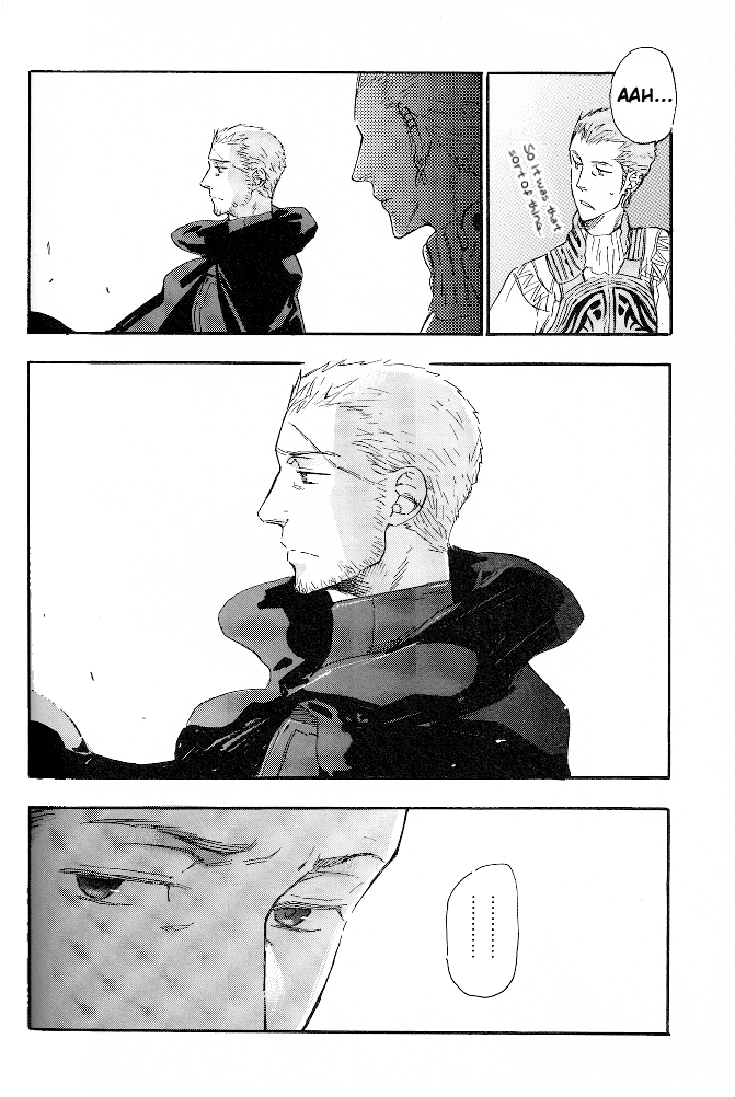 Final Fantasy XII - Your Voice Calling (Doujinshi) Oneshot 第22页