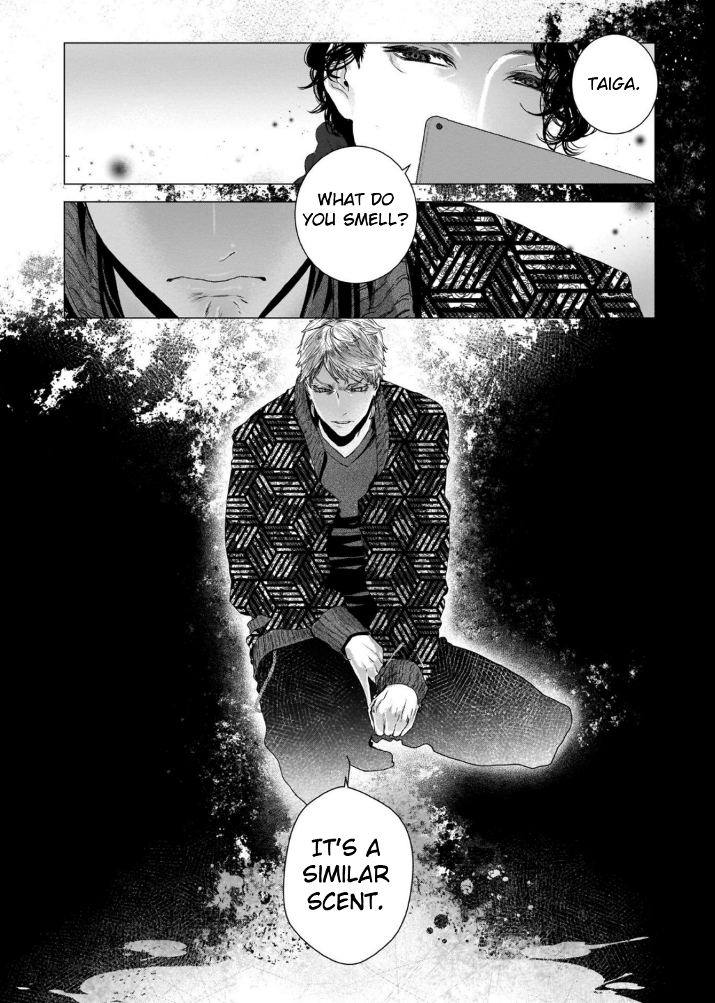Outsiders Despite Appearances 第39页
