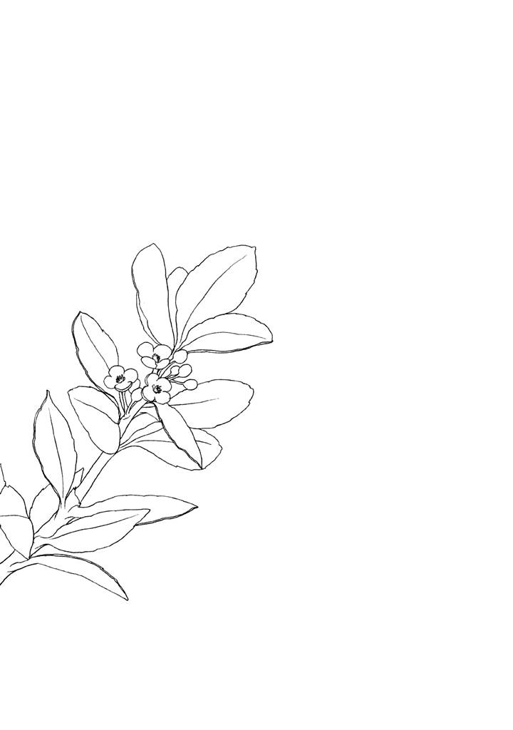The Land Is a Garden in Your Pocket Vol. 1 Ch. 5.5 第15页