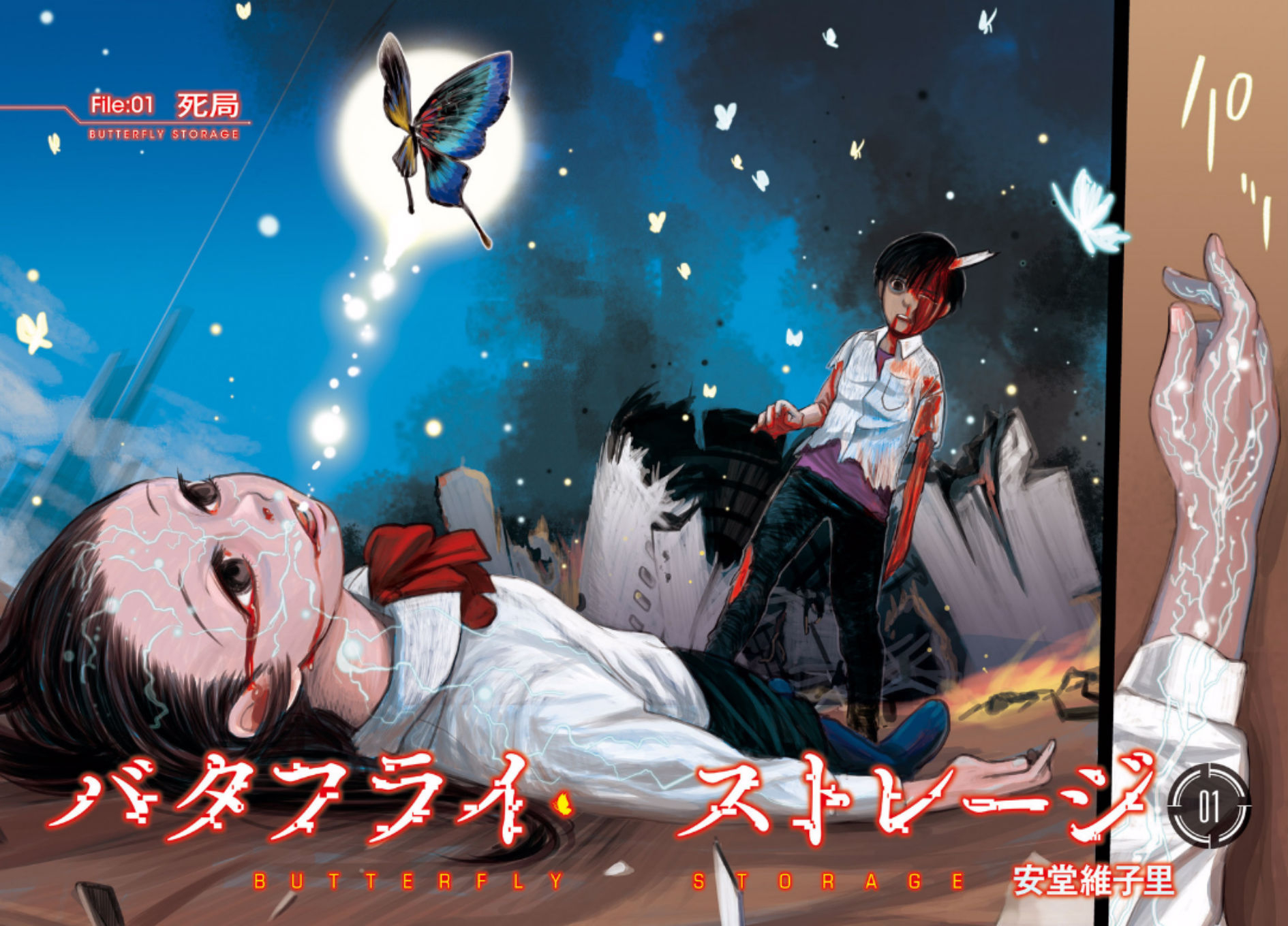 Butterfly Storage 第3页
