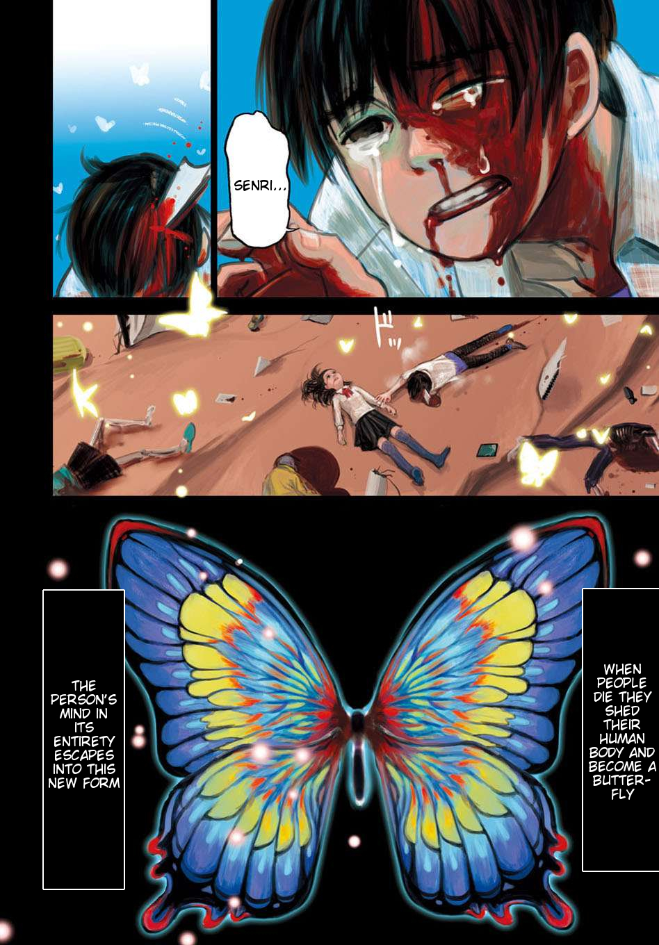 Butterfly Storage 第4页